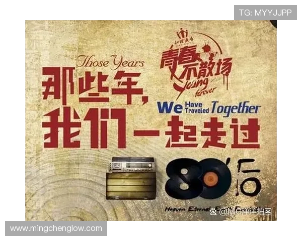 《那些年,我们一起追的台湾电视剧:温情、热血与时代的集体记忆》