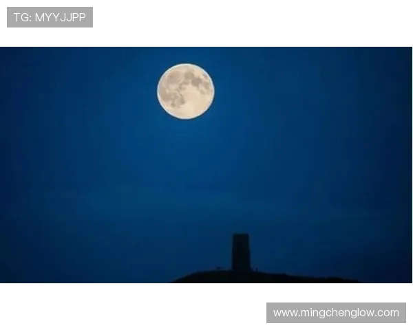 《白色月光》：当婚姻的“白月光”碎成一地月光，我们该如何拾起？